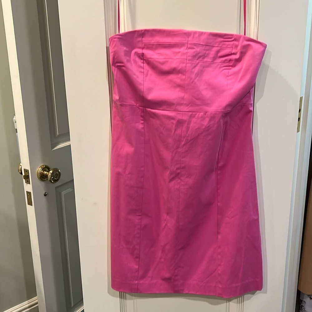 Nwt pink Theory dress
